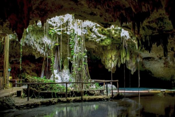 Cenote-Chaak-Tun-Luz-y-raices-de-arbol- playa del carmen