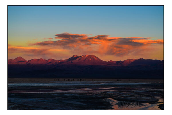 laguna Chaxa san pedro de atacama