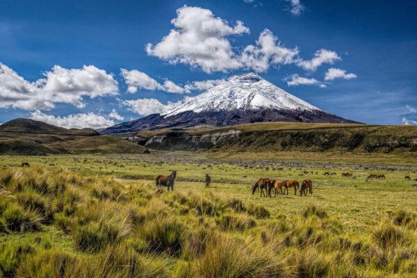 parque nacional cotopaxi, ecuador