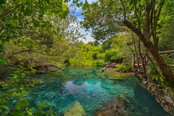 reserva ecologica ojos indigenas punta cana